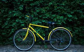 風(fēng)頭上的 共享自行車 一場(chǎng)看不到盈利的 豪賭