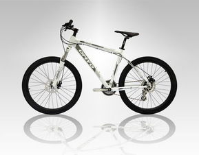 優米優自行車 高強度液壓成型車架 自行車產品圖