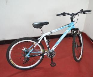 供應(yīng)26式自行車價(jià)格_供應(yīng)26式自行車廠家_世界工廠網(wǎng)產(chǎn)品信息庫(kù)